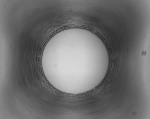 X0000114391348200910161022
