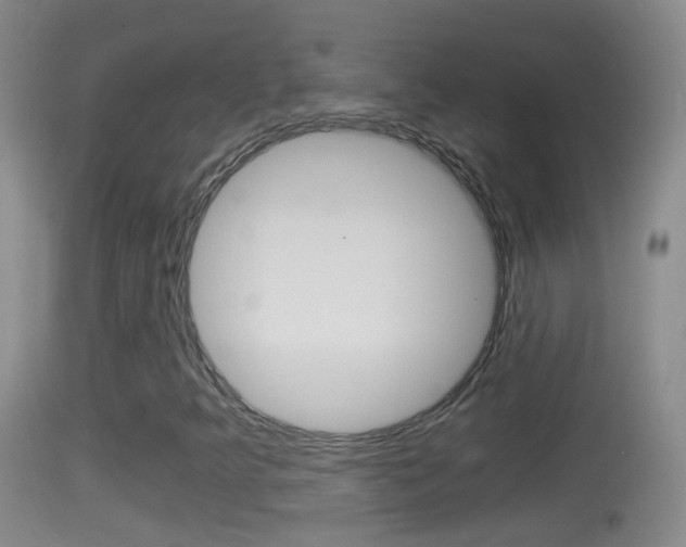 X0000114391349200910161022