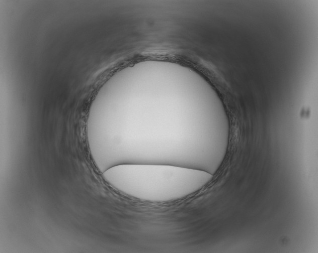 X0000114391350200910161022