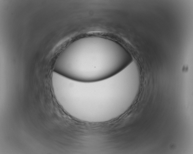 X0000114391351200910161022