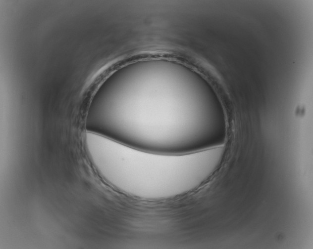 X0000114391352200910161022
