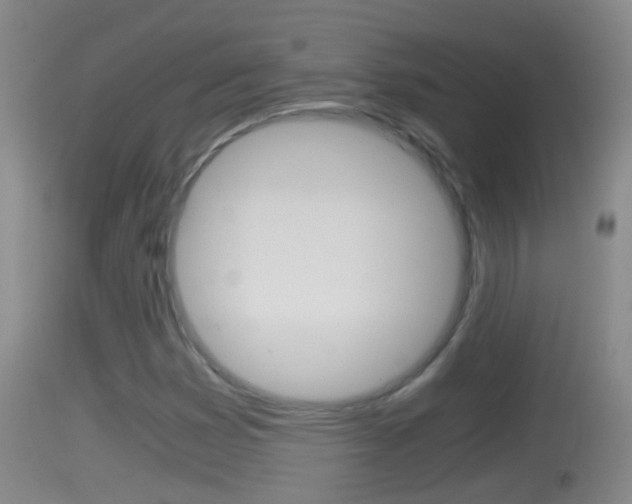 X0000114391353200910161022