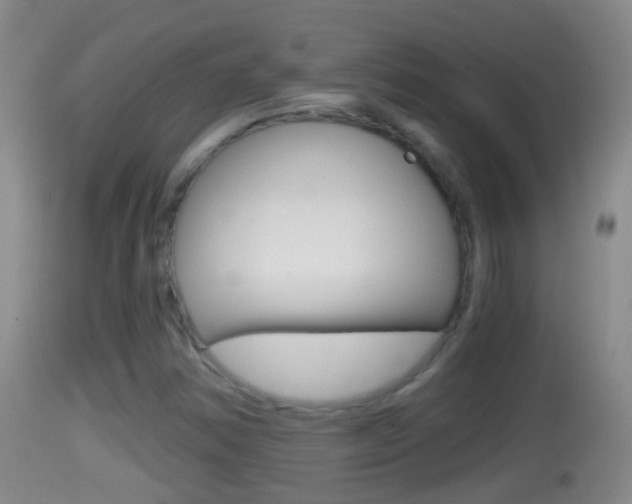 X0000114391354200910161022