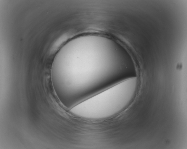 X0000114391355200910161022