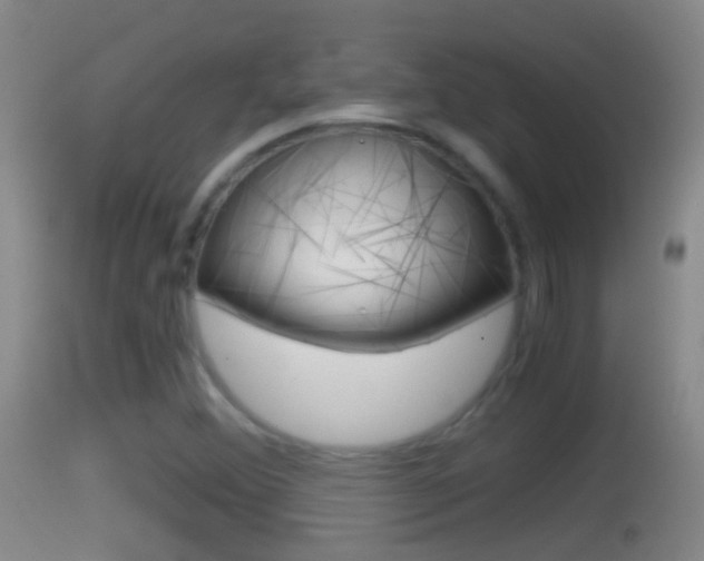 X0000114391356200910161022