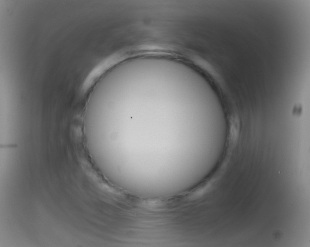 X0000114391357200910161022