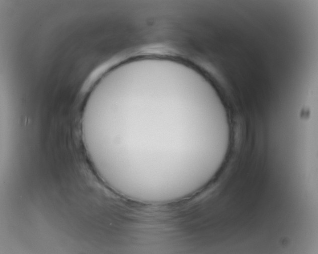 X0000114391358200910161022