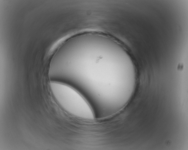 X0000114391359200910161022
