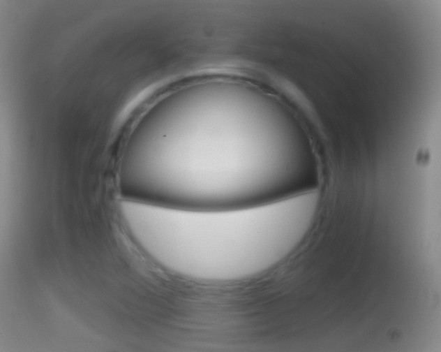 X0000114391360200910161022