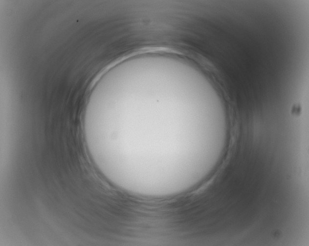 X0000114391361200910161022