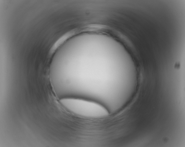 X0000114391362200910161022