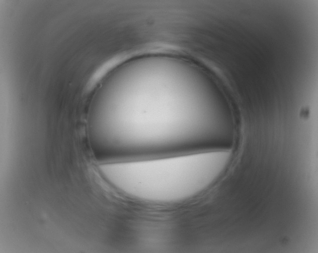 X0000114391363200910161022