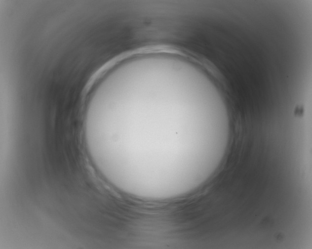 X0000114391364200910161022