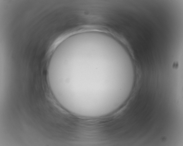 X0000114391365200910161022