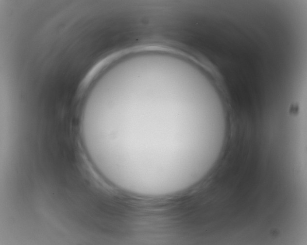 X0000114391368200910161022