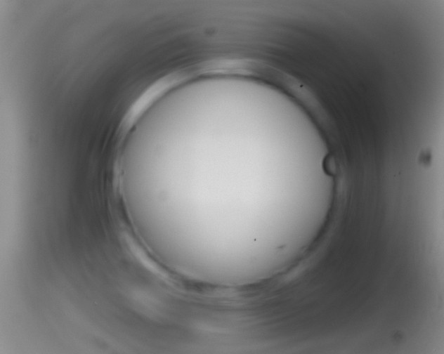 X0000114391370200910161022