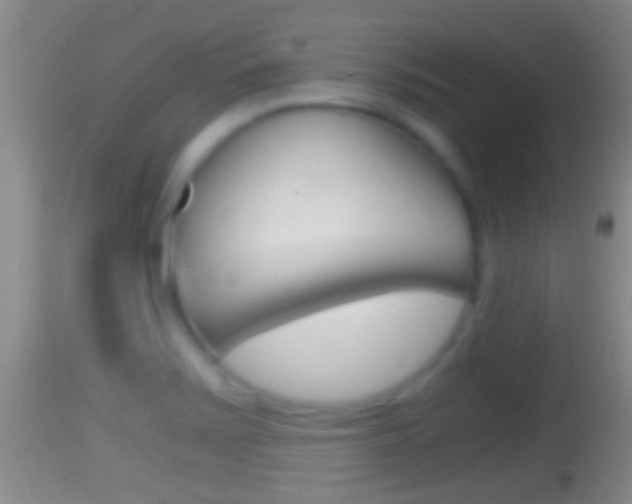 X0000114391371200910161022