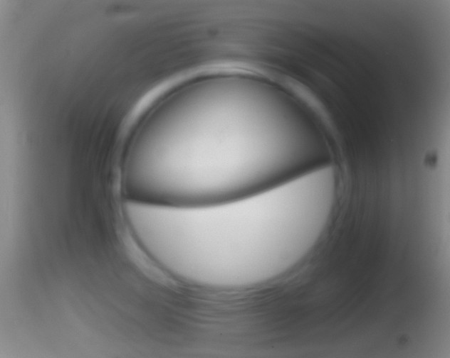 X0000114391372200910161022