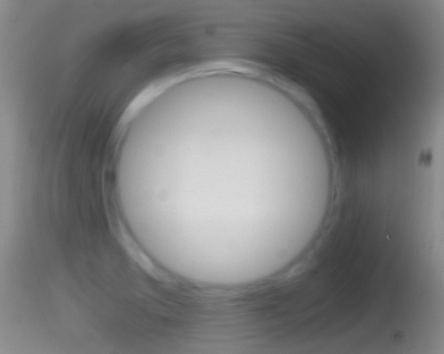 X0000114391373200910161022