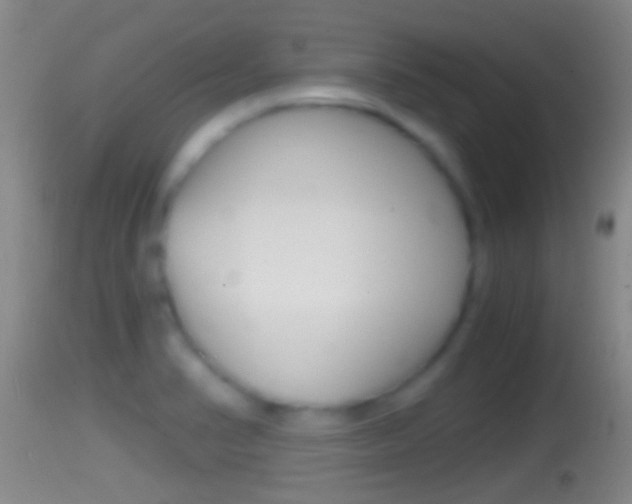 X0000114391374200910161022