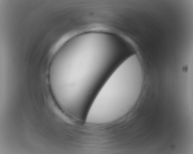 X0000114391375200910161022