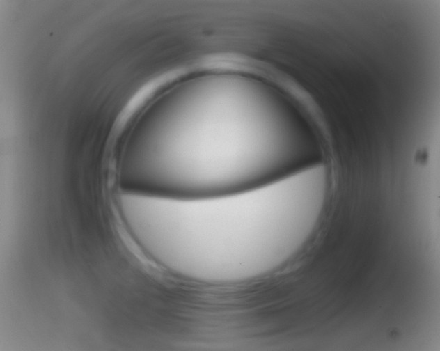 X0000114391376200910161022