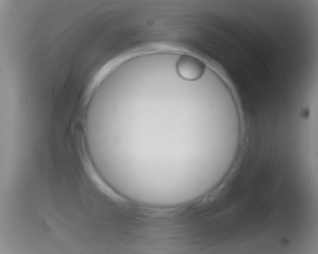 X0000114391381200910161021