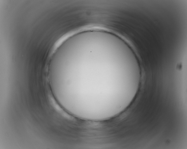 X0000114391382200910161021