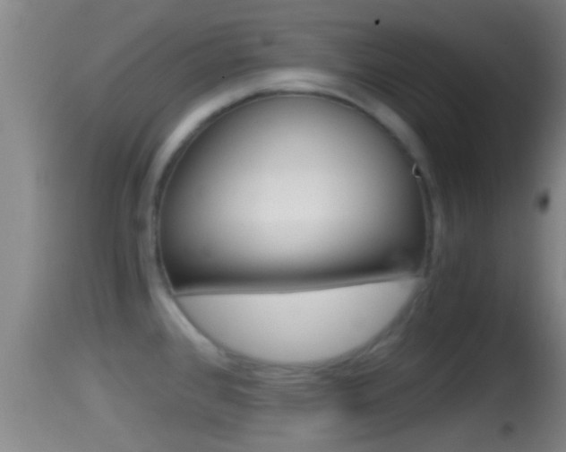 X0000114391384200910161021