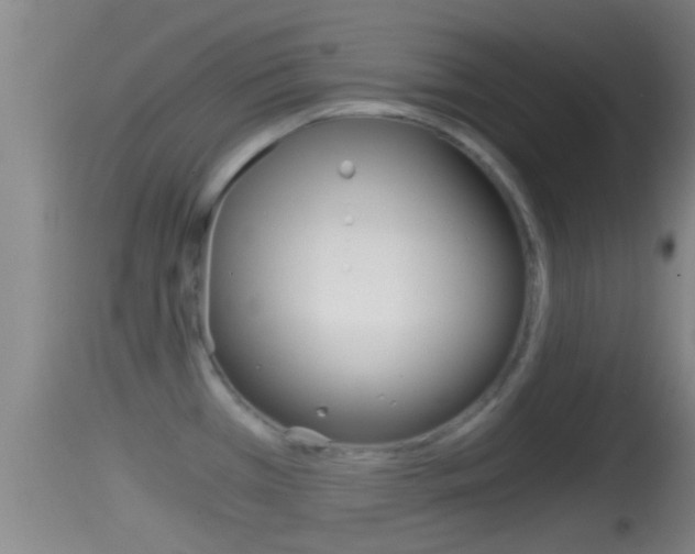 X0000114391385200910161021