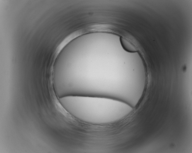 X0000114391386200910161021
