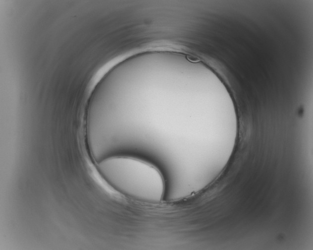 X0000114391387200910161021