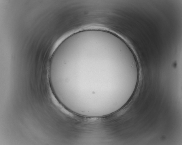 X0000114391390200910161021