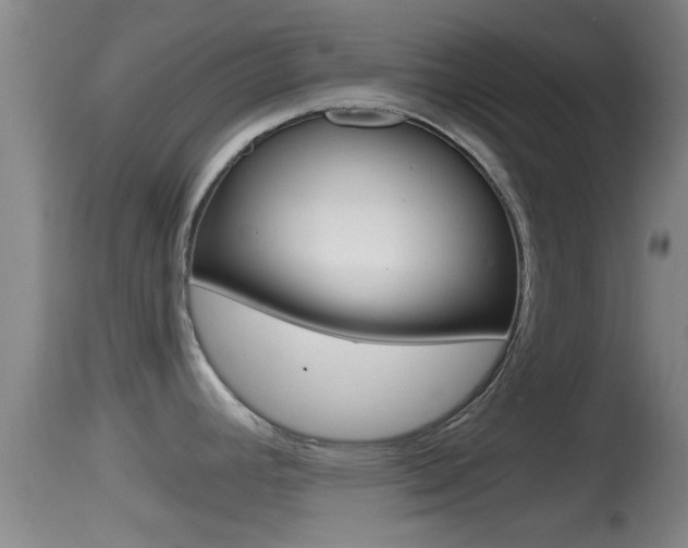 X0000114391392200910161021