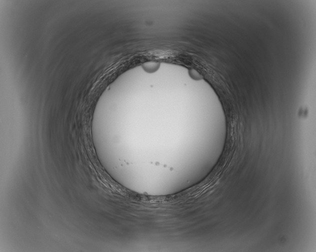 X0000114391393200910161020