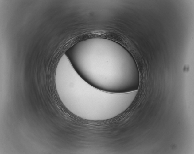 X0000114391394200910161020