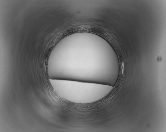 X0000114391395200910161020