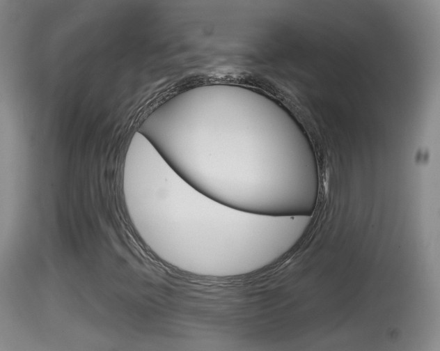 X0000114391396200910161021