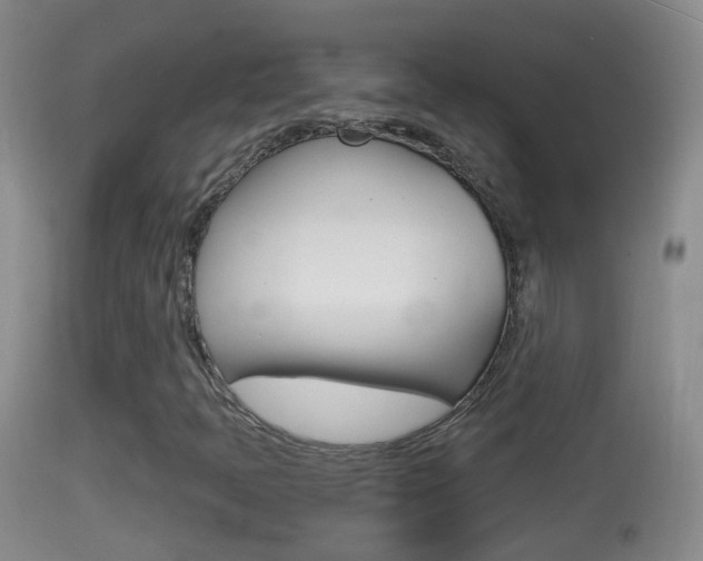 X0000114391397200910161021