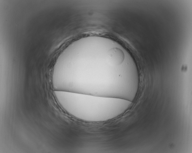X0000114391399200910161021