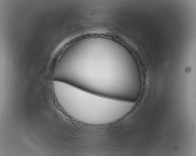 X0000114391400200910161021