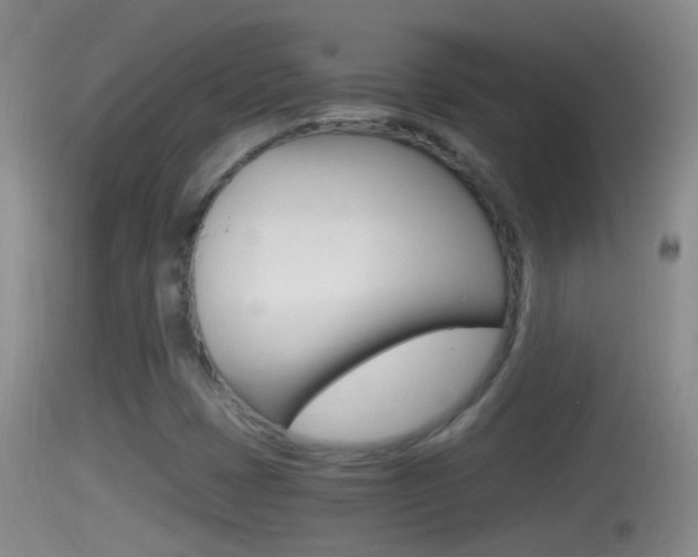 X0000114391401200910161021