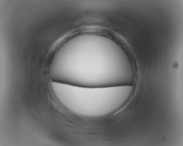 X0000114391403200910161021