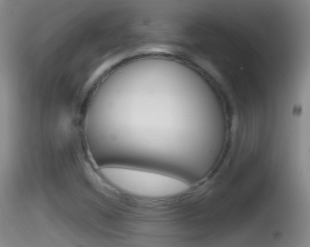 X0000114391404200910161021