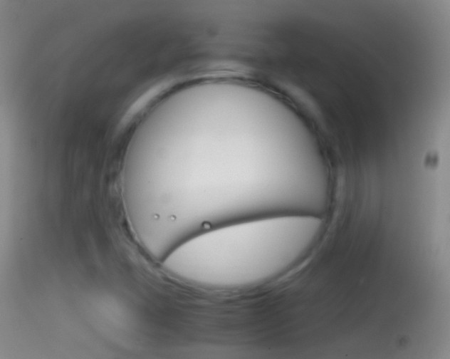 X0000114391407200910161021