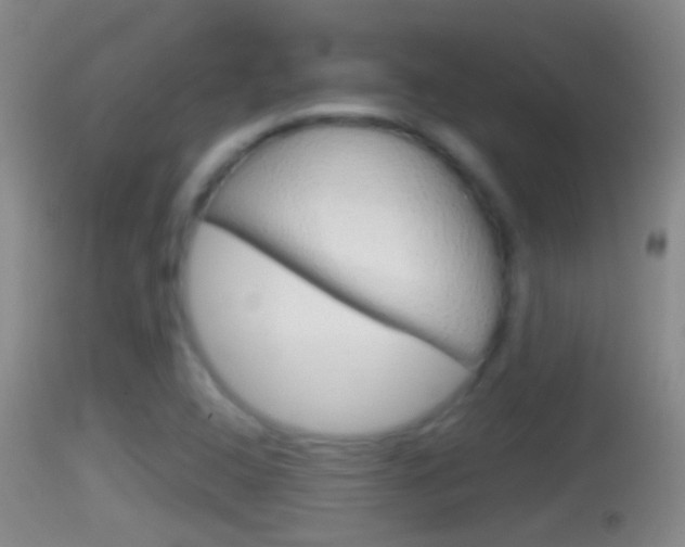 X0000114391408200910161021