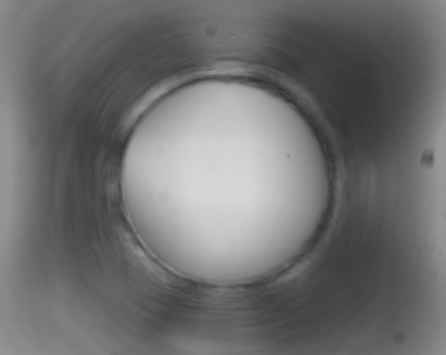 X0000114391409200910161021