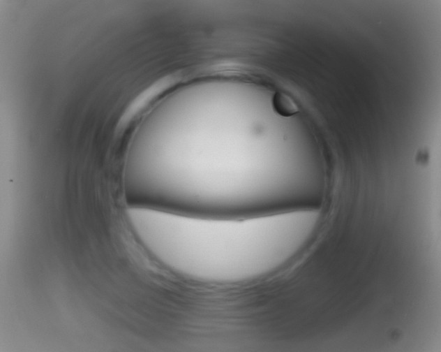 X0000114391410200910161021