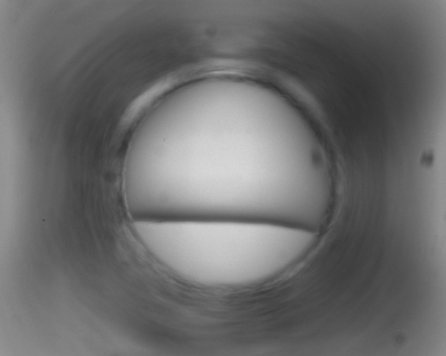 X0000114391411200910161021