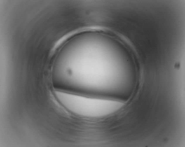 X0000114391412200910161021